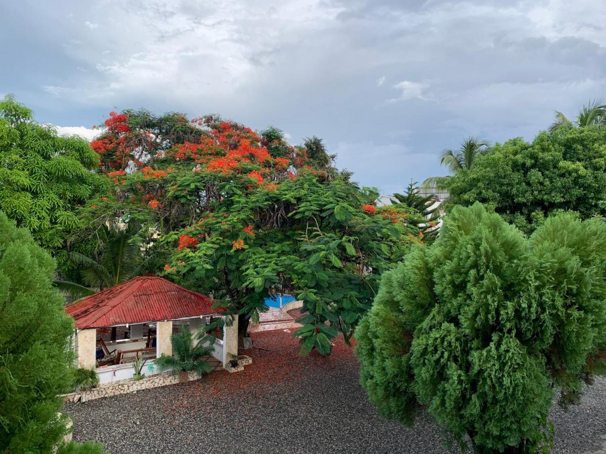 Villa Marcia Boca Chica Exteriér fotografie