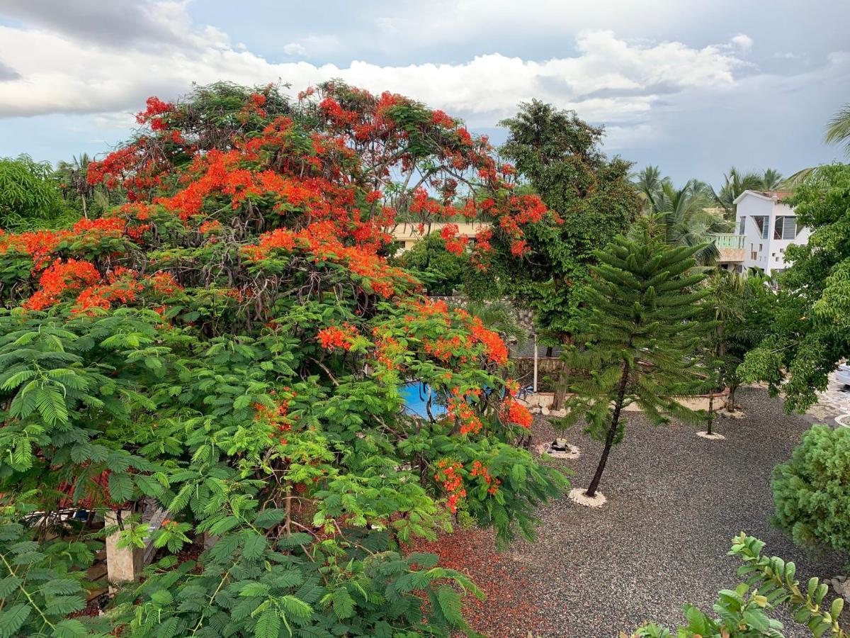 Villa Marcia Boca Chica Exteriér fotografie